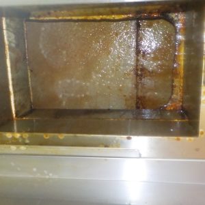 DSCN5389.jpg
